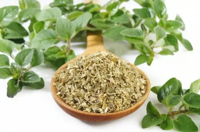 Palestinian Marjoram — Um Hamza — 100g